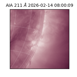 saia - 2026-02-14T08:00:09.621000