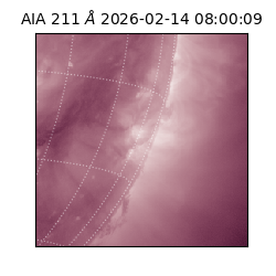 saia - 2026-02-14T08:00:09.621000
