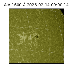 saia - 2026-02-14T09:00:14.129000
