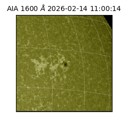 saia - 2026-02-14T11:00:14.125000