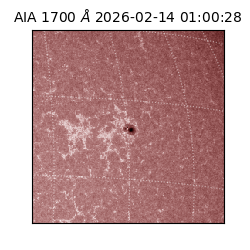 saia - 2026-02-14T01:00:28.717000