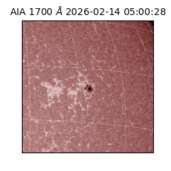 saia - 2026-02-14T05:00:28.713000