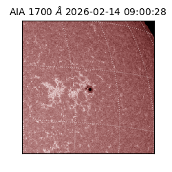 saia - 2026-02-14T09:00:28.711000