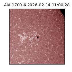 saia - 2026-02-14T11:00:28.734000