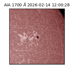 saia - 2026-02-14T12:00:28.717000