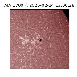 saia - 2026-02-14T13:00:28.717000