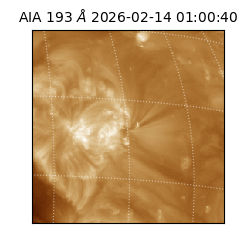 saia - 2026-02-14T01:00:40.835000