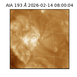 saia - 2026-02-14T08:00:04.835000