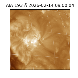 saia - 2026-02-14T09:00:04.843000