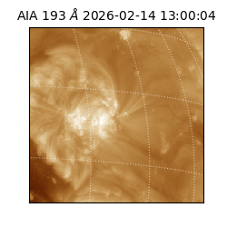 saia - 2026-02-14T13:00:04.843000