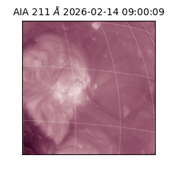 saia - 2026-02-14T09:00:09.626000