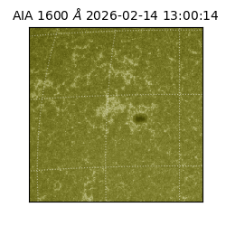 saia - 2026-02-14T13:00:14.125000