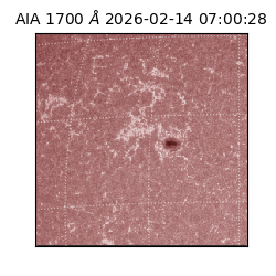 saia - 2026-02-14T07:00:28.725000