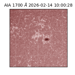 saia - 2026-02-14T10:00:28.734000