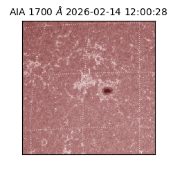 saia - 2026-02-14T12:00:28.717000