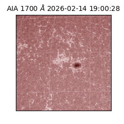 saia - 2026-02-14T19:00:28.734000