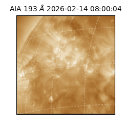 saia - 2026-02-14T08:00:04.835000