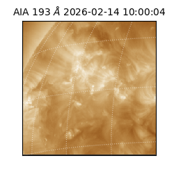 saia - 2026-02-14T10:00:04.843000