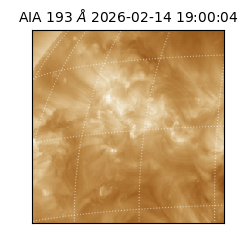 saia - 2026-02-14T19:00:04.843000