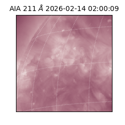 saia - 2026-02-14T02:00:09.631000