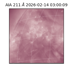 saia - 2026-02-14T03:00:09.633000