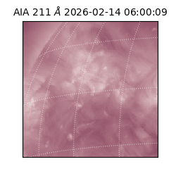 saia - 2026-02-14T06:00:09.619000