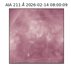 saia - 2026-02-14T08:00:09.621000