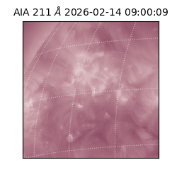 saia - 2026-02-14T09:00:09.626000