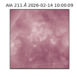 saia - 2026-02-14T10:00:09.630000