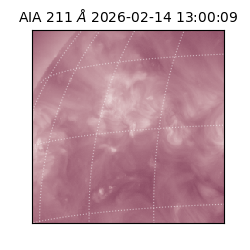 saia - 2026-02-14T13:00:09.626000