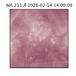 saia - 2026-02-14T14:00:09.630000