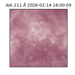 saia - 2026-02-14T16:00:09.622000