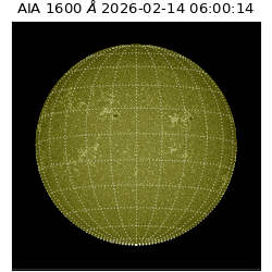 saia - 2026-02-14T06:00:14.118000
