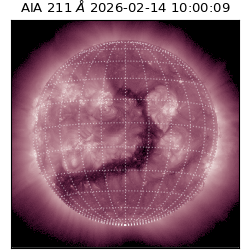saia - 2026-02-14T10:00:09.630000