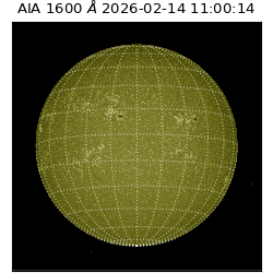 saia - 2026-02-14T11:00:14.125000