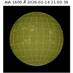 saia - 2026-02-14T21:00:38.125000