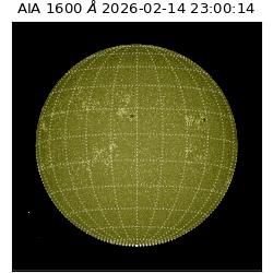 saia - 2026-02-14T23:00:14.125000
