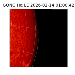 gong - 2026-02-14T01:00:42