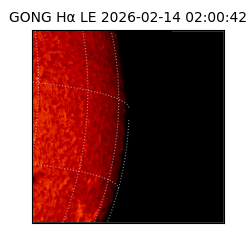 gong - 2026-02-14T02:00:42