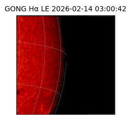 gong - 2026-02-14T03:00:42