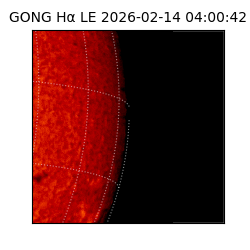 gong - 2026-02-14T04:00:42