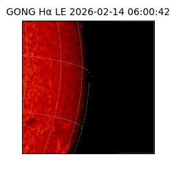 gong - 2026-02-14T06:00:42