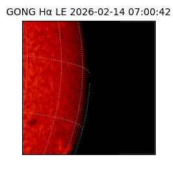 gong - 2026-02-14T07:00:42