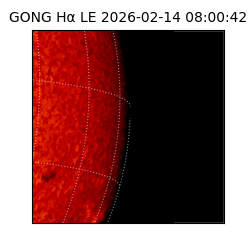 gong - 2026-02-14T08:00:42