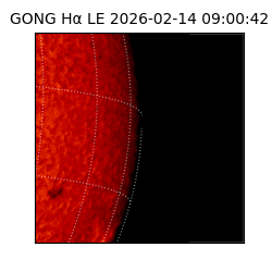 gong - 2026-02-14T09:00:42