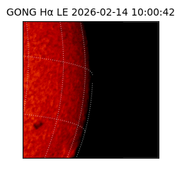 gong - 2026-02-14T10:00:42