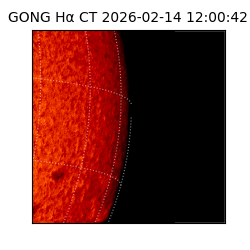 gong - 2026-02-14T12:00:42
