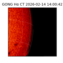 gong - 2026-02-14T14:00:42