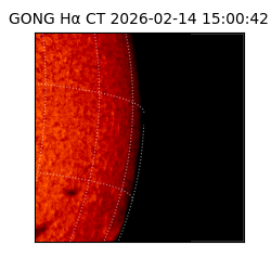 gong - 2026-02-14T15:00:42