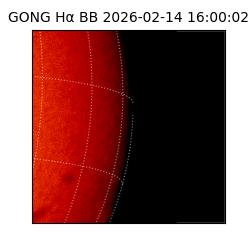gong - 2026-02-14T16:00:02
